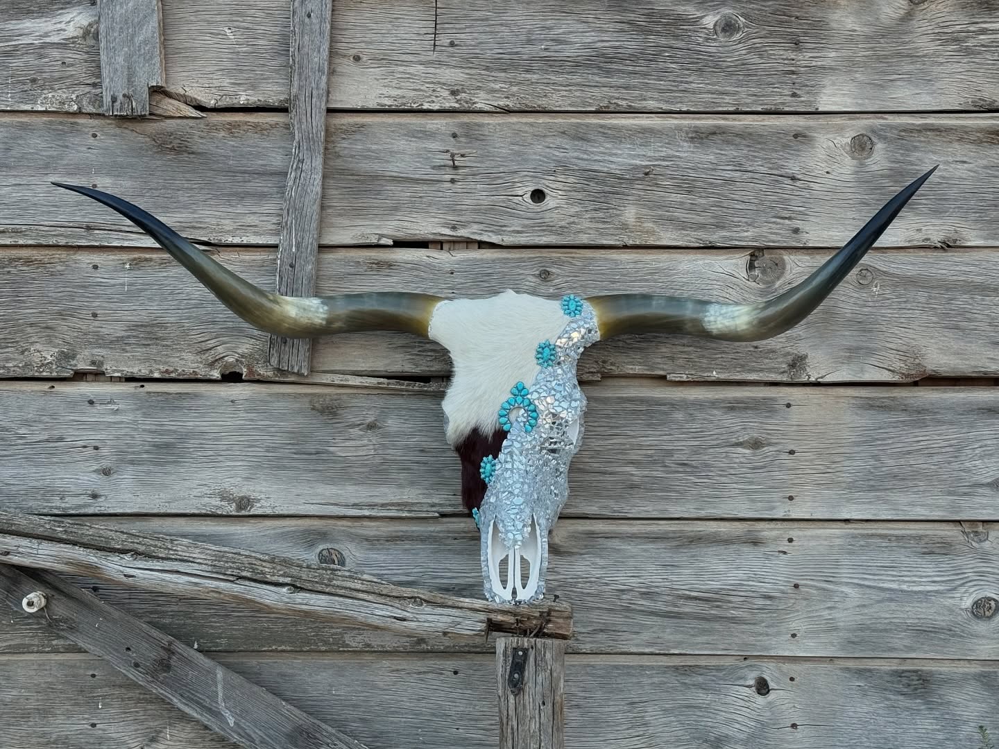 Bull skull wall decoration
