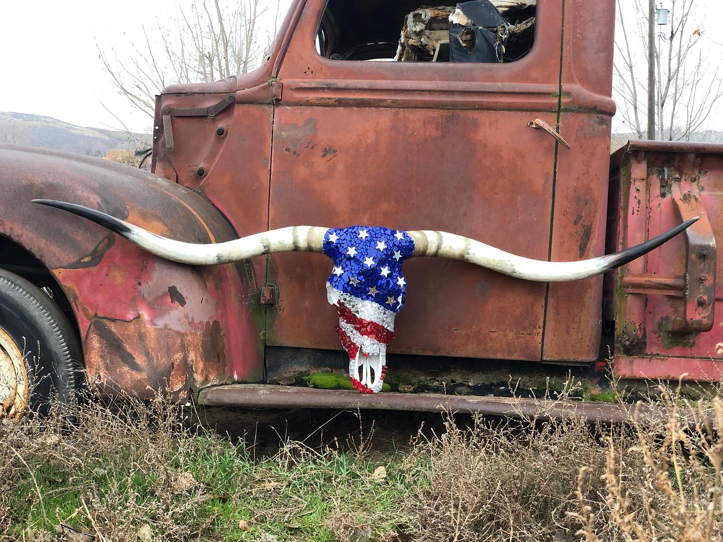 Bull skull wall decoration