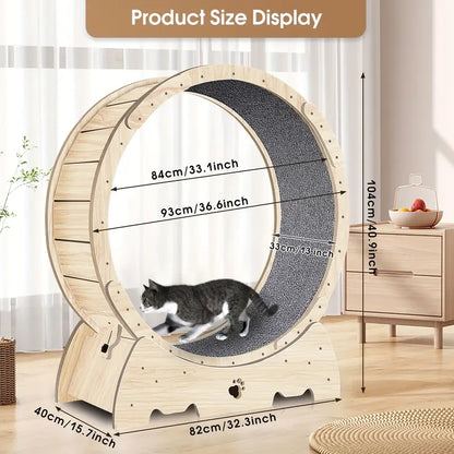 Cat running wheel