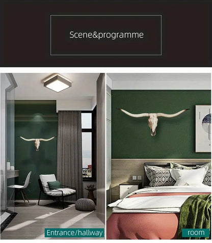 Bull skull wall decoration