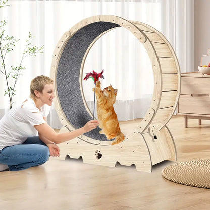 Cat running wheel