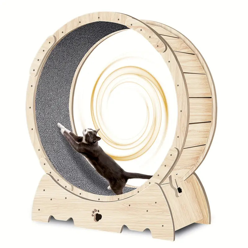 Cat running wheel