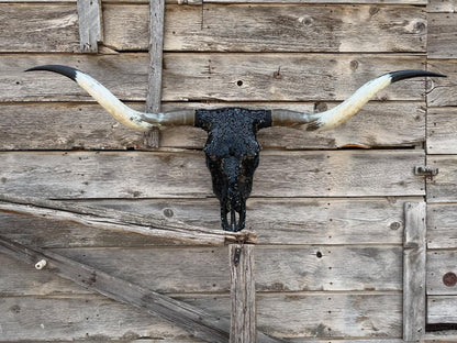 Bull skull wall decoration