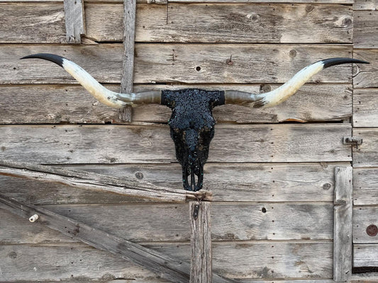 Bull skull wall decoration
