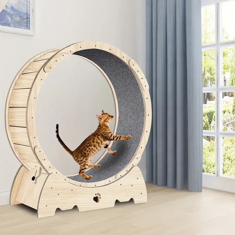 Cat running wheel