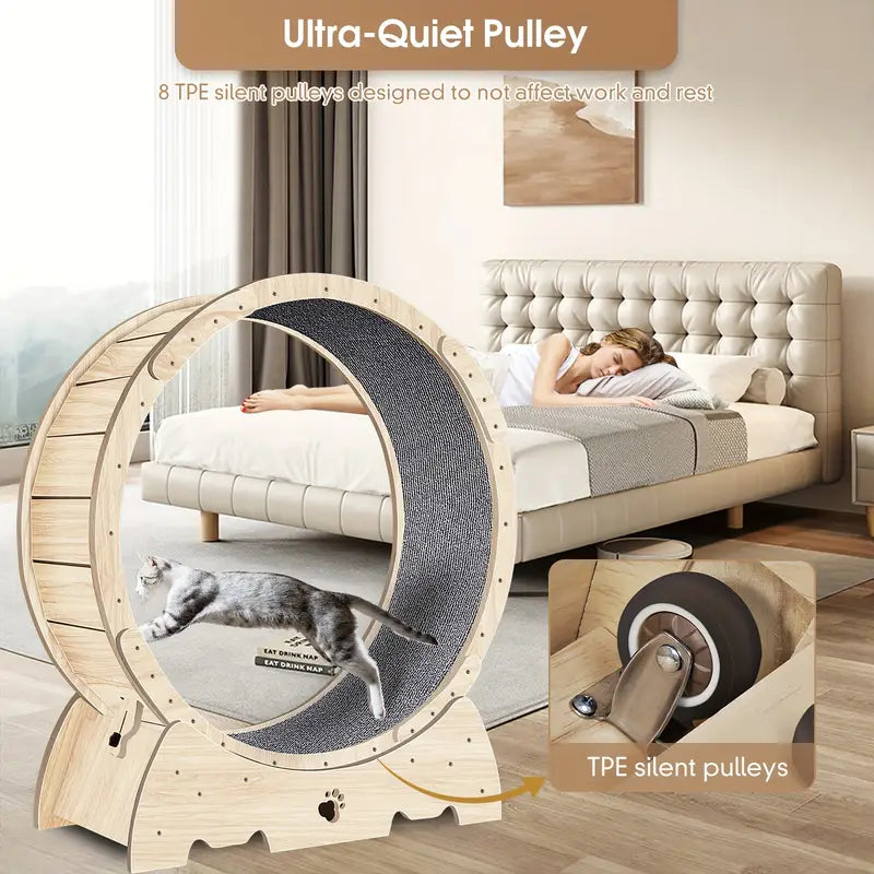 Cat running wheel